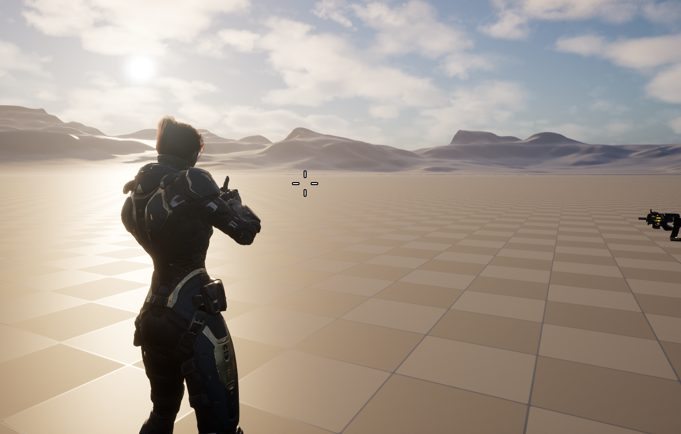 Project Preview